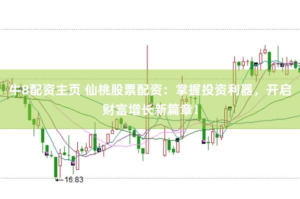 牛8配资主页 仙桃股票配资：掌握投资利器，开启财富增长新篇章！