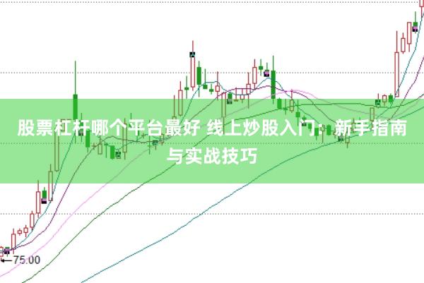 股票杠杆哪个平台最好 线上炒股入门：新手指南与实战技巧