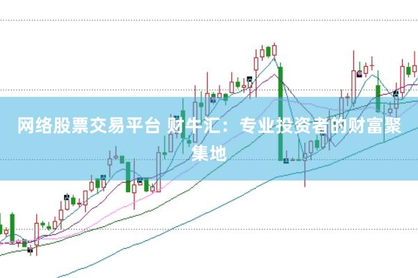 网络股票交易平台 财牛汇：专业投资者的财富聚集地