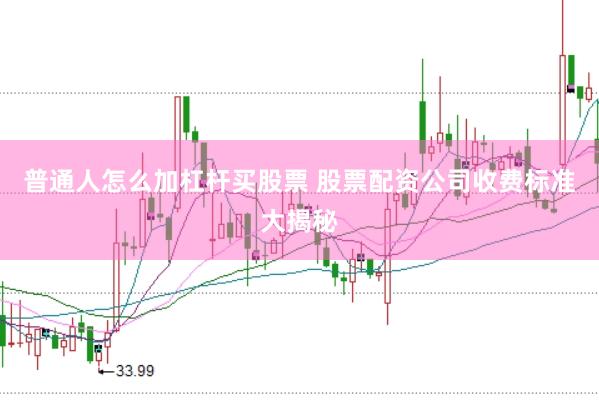 普通人怎么加杠杆买股票 股票配资公司收费标准大揭秘
