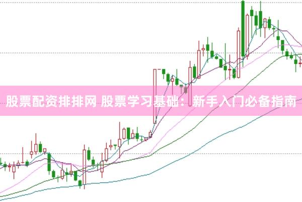 股票配资排排网 股票学习基础：新手入门必备指南
