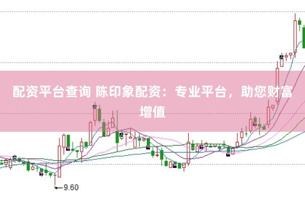 配资平台查询 陈印象配资：专业平台，助您财富增值