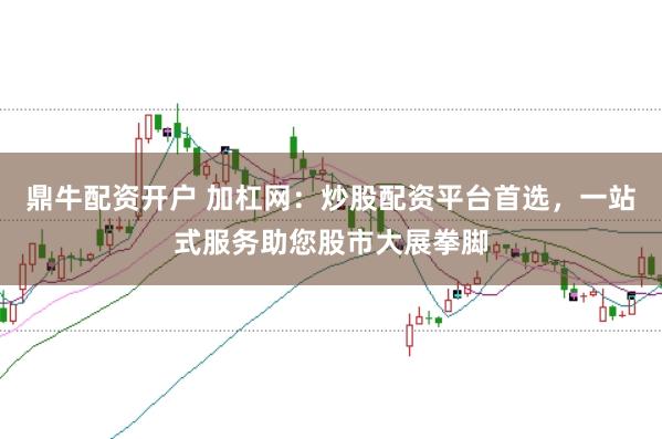 鼎牛配资开户 加杠网：炒股配资平台首选，一站式服务助您股市大展拳脚