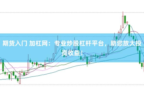 期货入门 加杠网：专业炒股杠杆平台，助您放大投资收益！