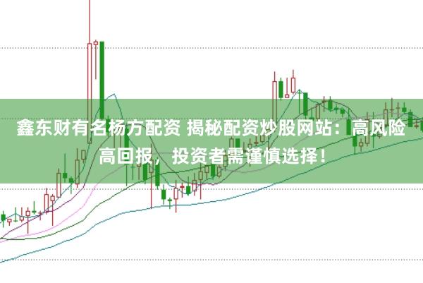 鑫东财有名杨方配资 揭秘配资炒股网站：高风险高回报，投资者需谨慎选择！