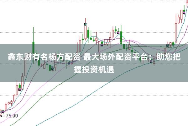 鑫东财有名杨方配资 最大场外配资平台：助您把握投资机遇