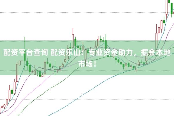 配资平台查询 配资乐山：专业资金助力，掘金本地市场！