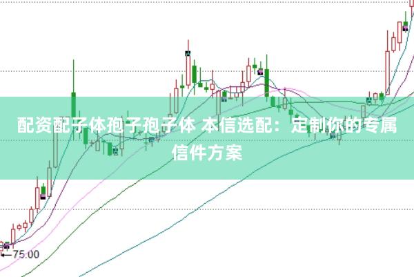 配资配子体孢子孢子体 本信选配：定制你的专属信件方案