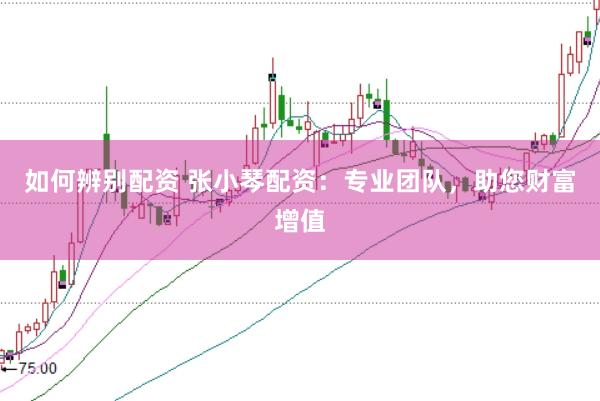 如何辨别配资 张小琴配资：专业团队，助您财富增值