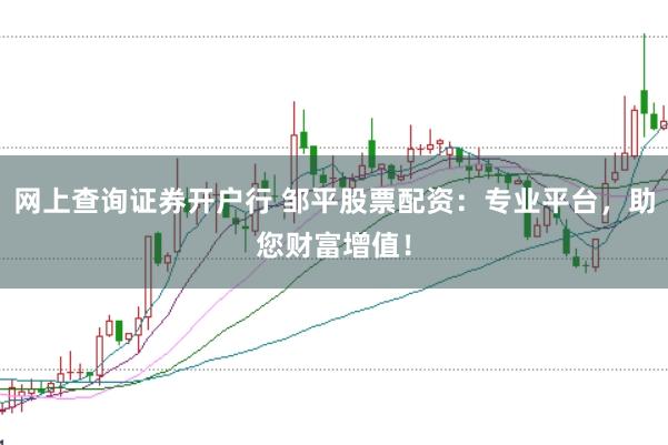 网上查询证券开户行 邹平股票配资：专业平台，助您财富增值！
