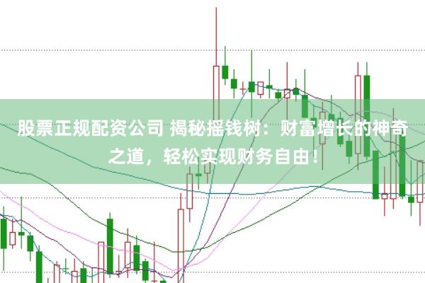 股票正规配资公司 揭秘摇钱树：财富增长的神奇之道，轻松实现财务自由！