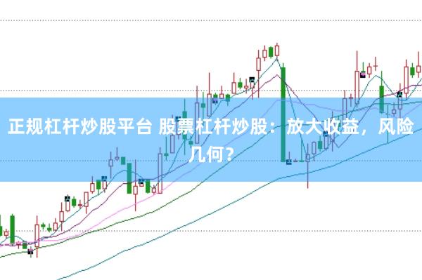 正规杠杆炒股平台 股票杠杆炒股：放大收益，风险几何？