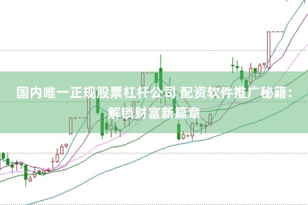 国内唯一正规股票杠杆公司 配资软件推广秘籍：解锁财富新篇章