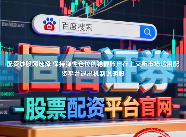 配资炒股网选择 保持弹性仓位的稳健账户在上交所市场运用配资平台退出机制说明股