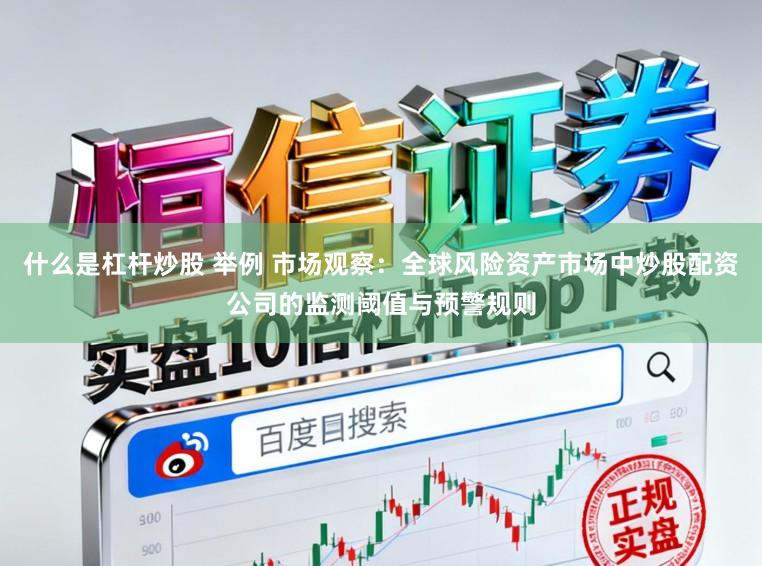 什么是杠杆炒股 举例 市场观察：全球风险资产市场中炒股配资公司的监测阈值与预警规则